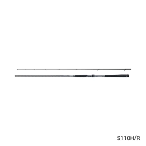 S110H/R